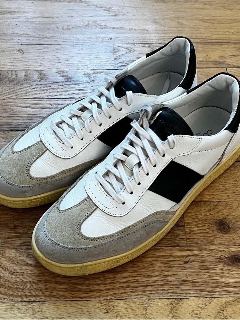 Collegium Court 2 Size 43